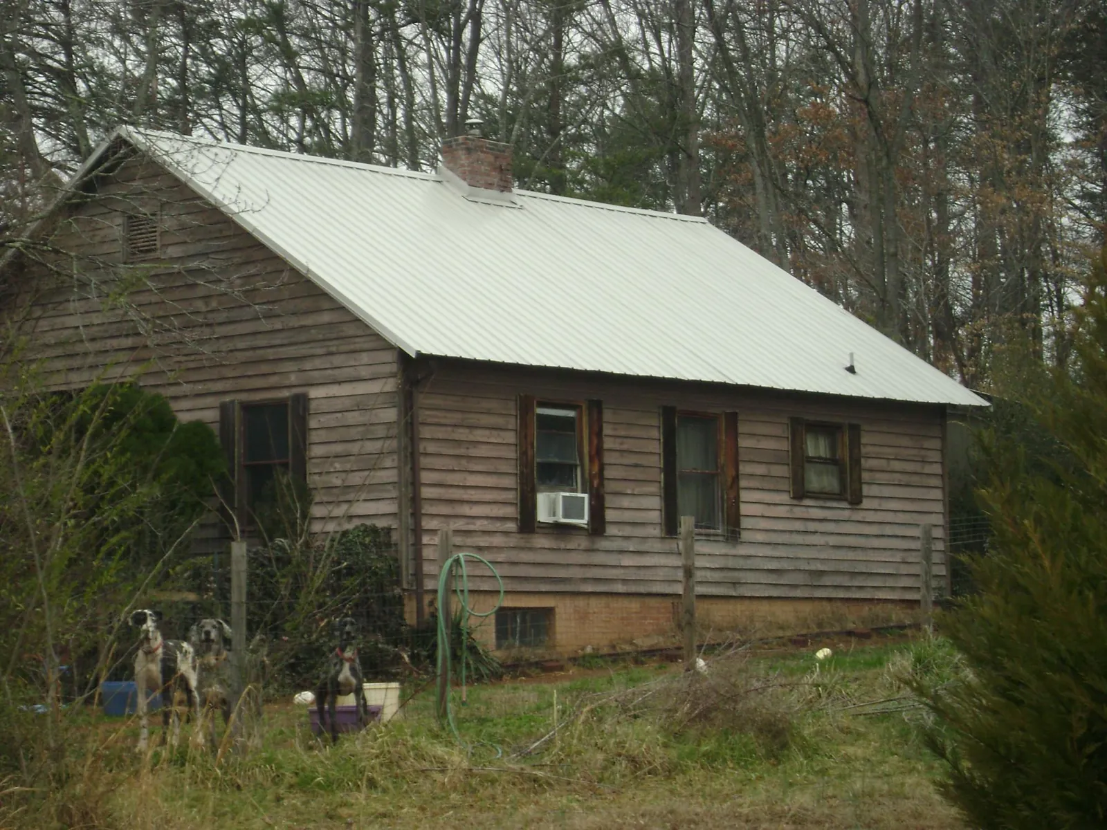 White metal roof on an old wood sided farmhouse, from a Asphalt Shingle Roof Repair job in Empire